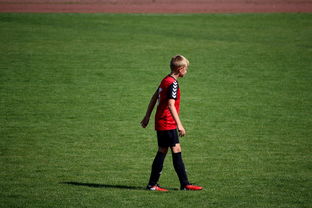 开云app-世界拳击青年赛中国选手勇夺金腰带，世界拳击表演赛