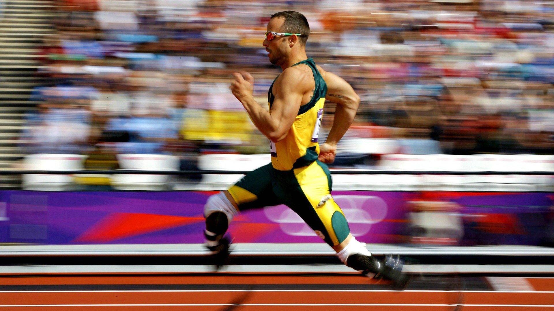 中国台北体育团队未来发展:全力备战国际赛事,台北体育中心